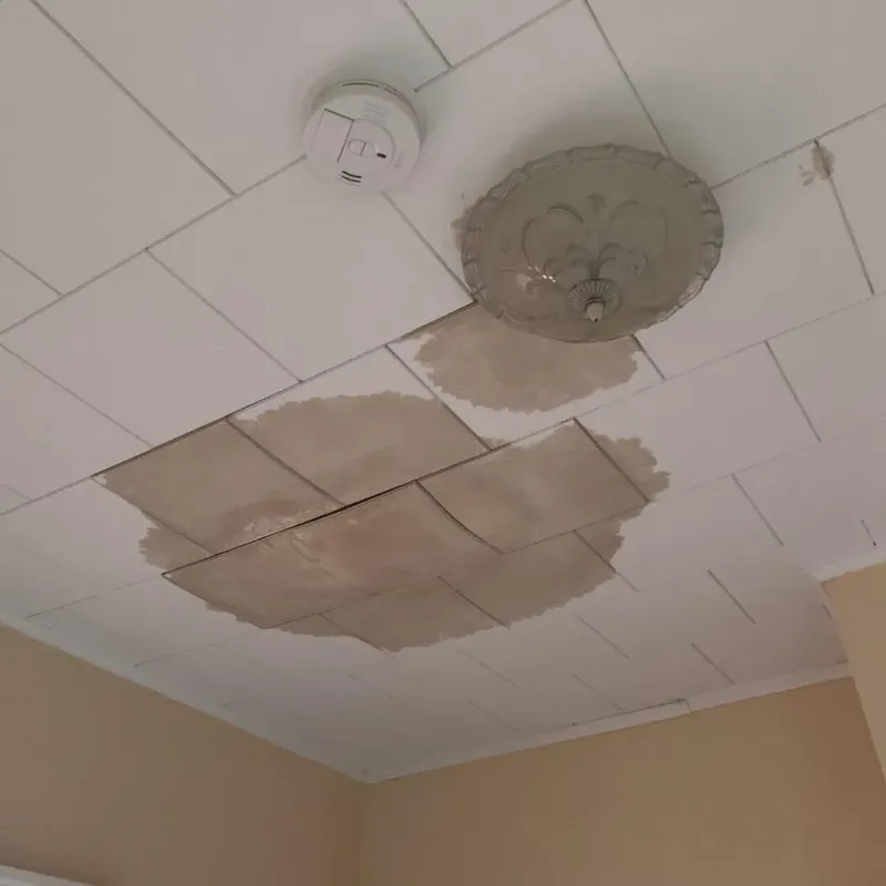 Ceiling Water Damage Repair in Fairfax, VA