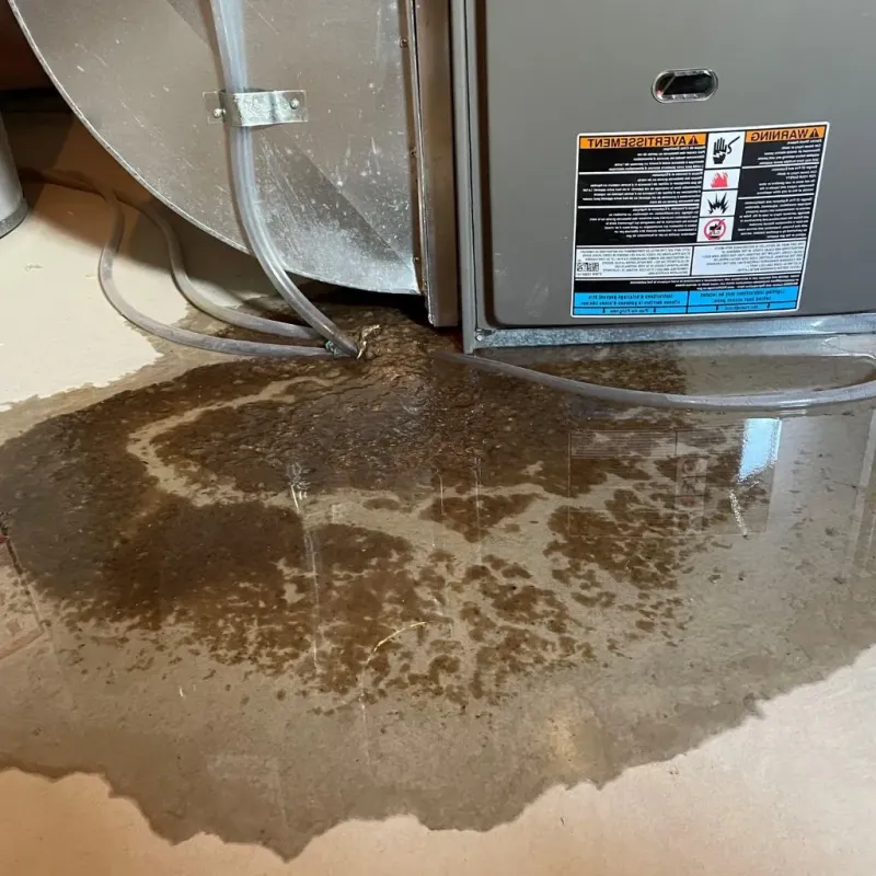 Pipe Burst and Leak Restoration in Fairfax, VA